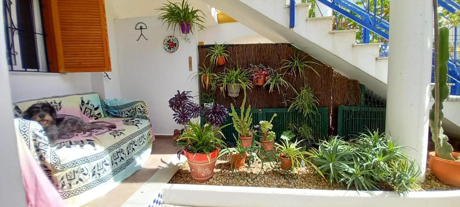 Casa Chiki Apartment Vera Bagian luar foto
